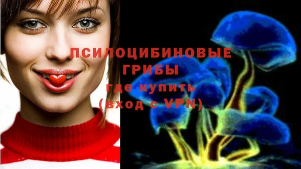 ешки Дмитров