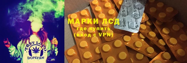 индика Дмитровск