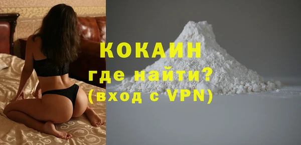амф Дмитриев