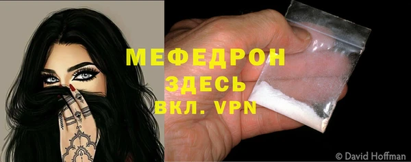 индика Дмитровск