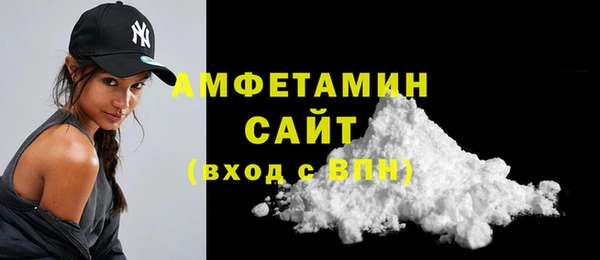 индика Дмитровск