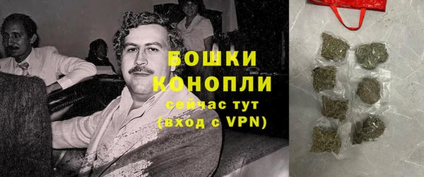 индика Дмитровск