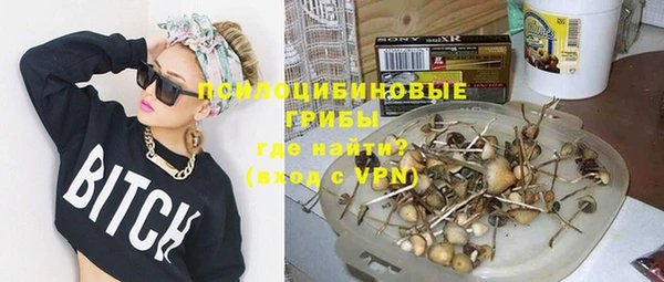 индика Дмитровск