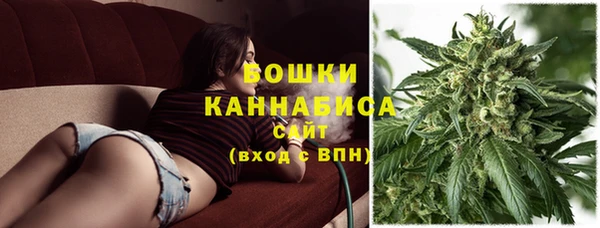 амф Дмитриев