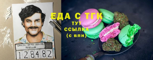 индика Дмитровск