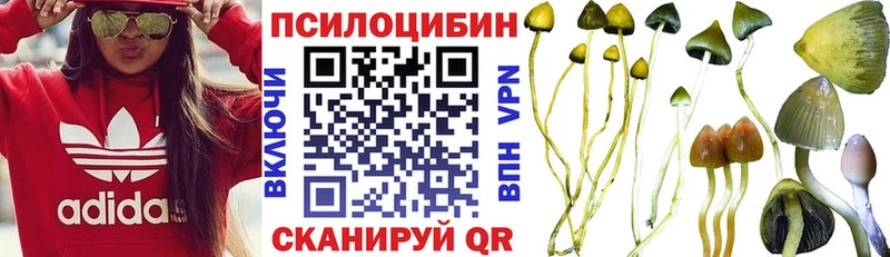 Псилоцибиновые грибы Psilocybe  Купить закладки  Западная Двина 